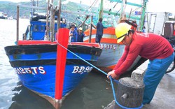 Nâng cao hiệu quả chống khai thác hải sản bất hợp pháp