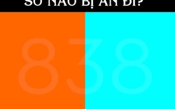 6 câu đố “đánh bại” cả những trí tuệ đỉnh cao