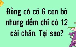 Những câu đố chỉ dành cho thiên tài thách thức mọi trí tuệ