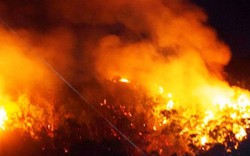 Cảnh sát ‘liều mình’ băng núi Bà Hỏa, dập lửa cứu rừng