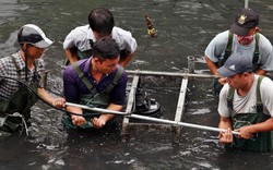 "Bảo bối" của Nhật sắp hết thử nghiệm: Xin lùi ngày, chờ nước sông Tô Lịch đen như cũ