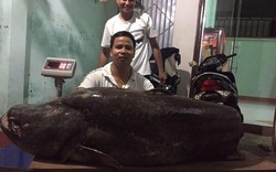 Choáng với cặp cá leo khủng, nặng hơn 1 tạ xuất hiện ở Đắk Lắk
