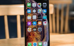 “Tai thỏ” đã hết thời, Apple phải “lột xác” cho iPhone