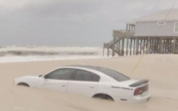 Đỗ xe gần bãi biển trong vài phút, quay lại tá hỏa nhận ra xe mình bị cát “chôn sống”