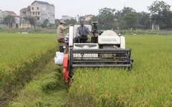 10 năm nông thôn mới, thu nhập của nông hộ đạt 130 triệu đồng