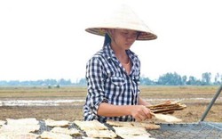Lạ lùng món cá sấu... sấy khô được sản xuất ngay tại Việt Nam