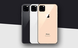 Video trên tay bộ ba iPhone 11 xuất hiện, iFan đứng ngồi không yên