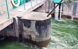 Làm sạch sông Tô Lịch: Tranh luận giữa chuyên gia Nhật và Cty thoát nước