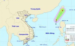 Áp thấp nhiệt đới trên biển Đông gây biển động mạnh