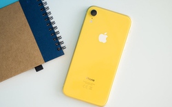 Rẻ, đẹp dung dị giúp iPhone XR vẫn được ưa chuộng nhất quý 2