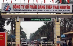 "Ôm" nợ xấu công ty liên quan ông Trần Bắc Hà, Gang Thép Thái Nguyên kinh doanh bết bát