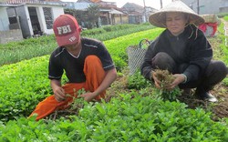 Chương trình OCOP Phú Yên: Nâng tầm các đặc sản vùng miền