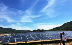 Khánh thành dự án điện mặt trời lớn nhất ở Khánh Hòa