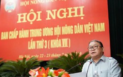 Hội nghị BCH TƯ Hội NDVN: Tập trung mọi giải pháp giúp nông dân