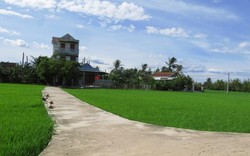 Huyện đầu tiên của Phú Yên đón nhận đạt chuẩn nông thôn mới