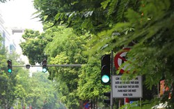 Ảnh: Biển báo giao thông "bẫy" người đi đường ở Hà Nội