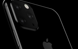 Chi tiết cấu hình iPhone 11 đã được "cởi bỏ" hoàn toàn