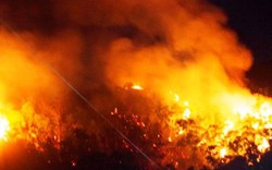 Cháy 10ha rừng ở Bình Định: Nghi do thợ đốt ong rừng (?)