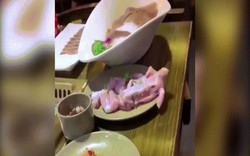 Video: Thịt gà sống bỗng nhiên chuyển động trên bàn ăn khiến nhiều người kinh hãi
