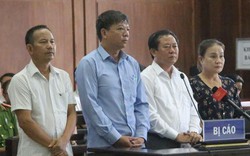 Tăng nặng án tù các bị cáo vụ kỳ án gỗ lậu ở Quảng Trị