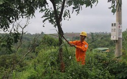 PC Đắk Nông nâng cao độ tin cậy cung cấp điện