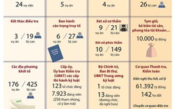 Infographics: Số liệu về phòng chống tham nhũng 6 tháng đầu năm