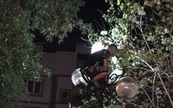 Cảnh sát giải cứu thanh niên "luyện công" trên cột đèn lúc rạng sáng