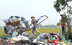 Môi trường và an toàn thực phẩm - tiêu chí “khó nhằn” nhất