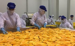 Rau quả xuất khẩu đạt hơn 2 tỷ USD và cơ hội lớn từ... quả chuối