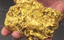 Úc: Đào được cục vàng 2kg giá trị “khủng”, không ngủ được suốt 3 ngày