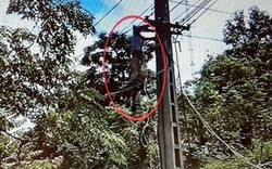 Giải cứu người đàn ông treo ngược trên đường dây điện