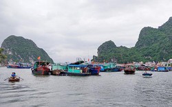 Quảng Ninh: Ảnh hưởng bão số 3, cấm biển từ 10h hôm nay