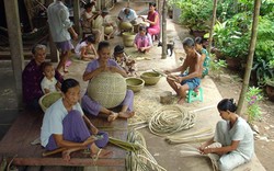 Nông thôn đối diện nguy cơ thành... “sa mạc”