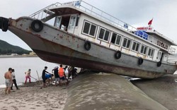 Giải cứu tàu khách leo “nhầm” lên đê khi tránh bão ở Quan Lạn
