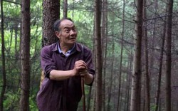 Nhận "quả báo", người đàn ông một chân dành 32 năm để trồng rừng