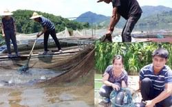 Xuống sông Gâm nuôi toàn cá đặc sản, ngon nức tiếng, dân khá giả