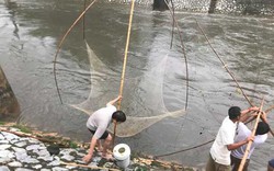 Người dân Hà Nội buông cần, giăng lưới bắt cá sau bão số 3