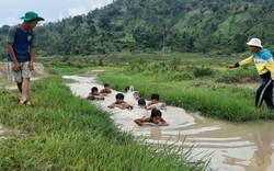 3 thanh niên chăn bò ngăn suối, làm điều cảm động dưới chân núi lửa