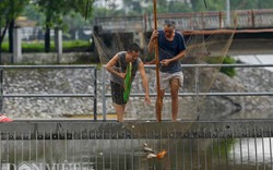 Ảnh, clip: "Cần thủ" rủ nhau ra sông Kim Ngưu bắt cá mặc mưa bão