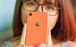 iPhone XR và iPhone 8 Plus: Bạn thích tai thỏ hiện đại hay phím home màn hình truyền thống?