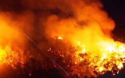 Xảy ra 12 vụ, Bình Định yêu cầu 4 huyện “truy” kẻ gây cháy rừng
