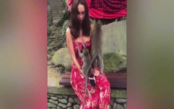 Video: Người mẫu nóng bỏng đỏ mặt vì bị khỉ sờ ngực