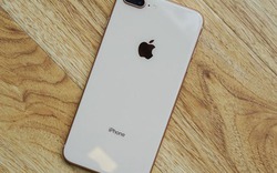 Những iPhone cũ được "săn đón" nhiều nhất hiện nay