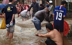 Lâm Đồng: Sau mưa lớn, dân phố ôm rổ, vợt, bu gà... ra đường bắt cá
