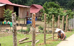 Những "cái lạ nóng hổi" giữa cộng đồng người A Rem tỉnh Quảng Bình