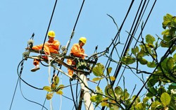 Tháng 7 EVNNPC đảm bảo cấp điện an toàn, ổn định