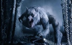 Những lần xuất hiện của người sói được ghi nhận trong lịch sử thế giới