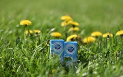 Sữa tươi chuẩn Hà Lan với sứ mệnh “cân bằng dinh dưỡng” cho trẻ