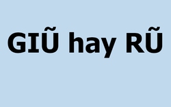 Đố bạn trả lời đúng hết những câu đố chính tả siêu khó nhằn này