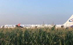 Máy bay Nga chở 234 người đến Crimea hạ cánh kịch tính trên cánh đồng